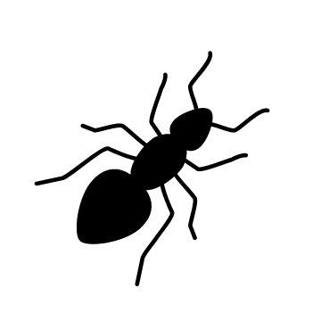アリ駆除